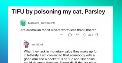 Cat’s Unusual Behavior Made Redditor Worry, But It Turned Out The Cat Was Just High As a Kite