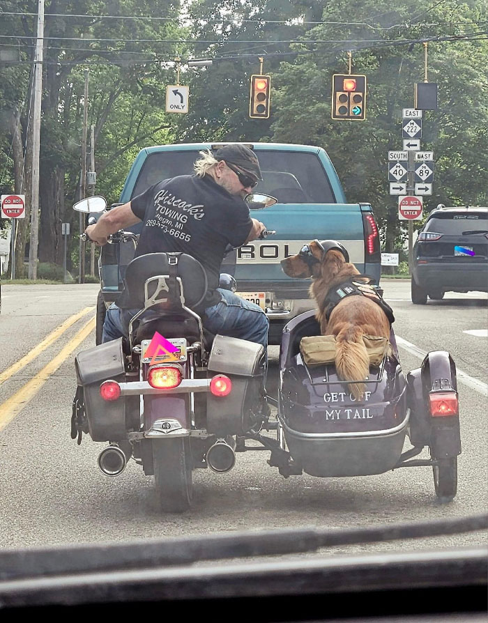 Like owner, like doggo