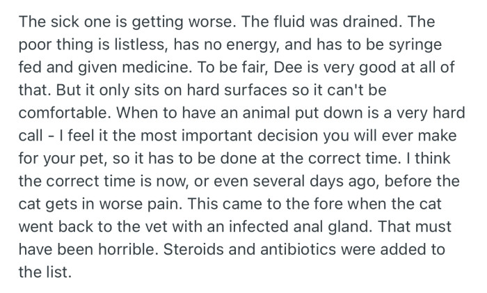 Dee’s cat’s condition keeps getting worse each day, and OP feels it’s the right time to put it down rather than let it suffer