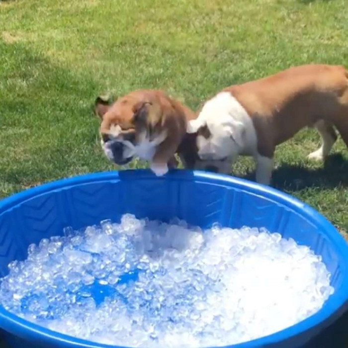 Chandler and Walter share a special bond