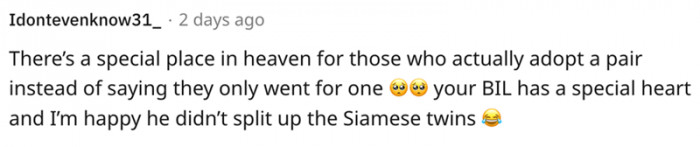 11. This person is happy the OP's BIL didn't split them up