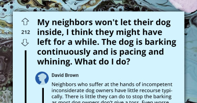 Concerned Individuals Give Their Honest Opinion To Someone Who Didn't Know What To Do About The Neighbour's Barking Dog