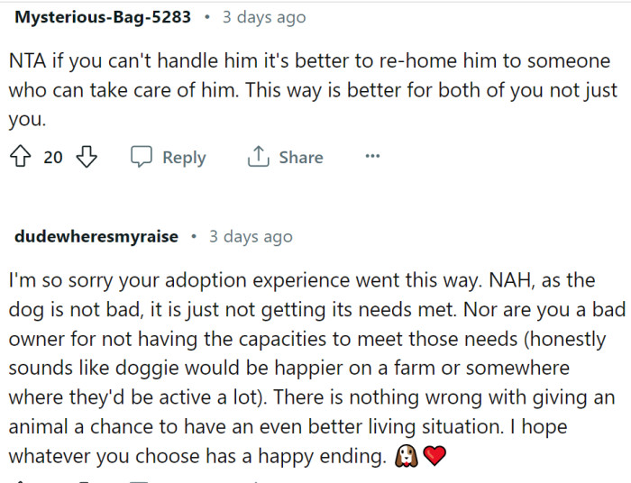 It is better to re-home a dog you can't handle than to have a miserable cohabitation.