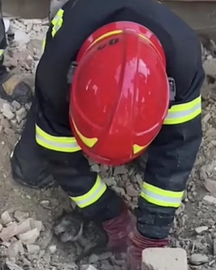 Miraculously, the tiny pup was saved from the rubble by a rescue group and the law enforcement agency