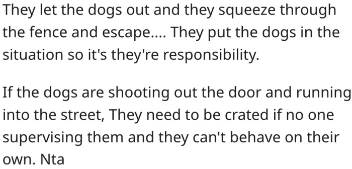 8. They should crate the dogs when nobody can watch them.