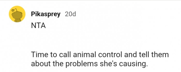 18. It's time to call animal control