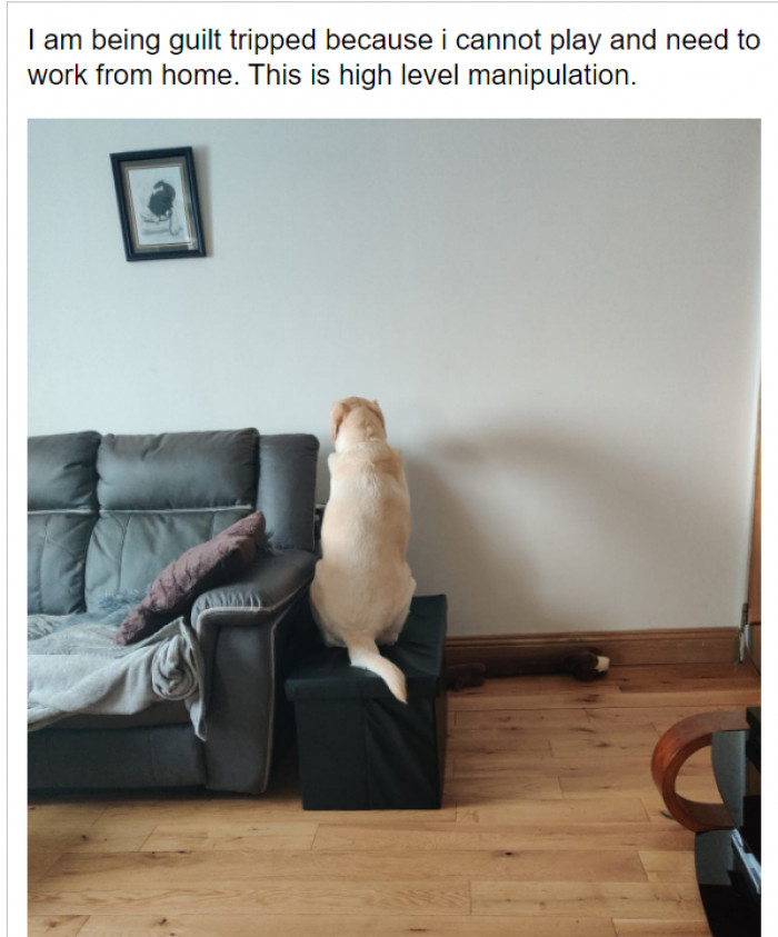 5. This is really the highest level of manipulation: