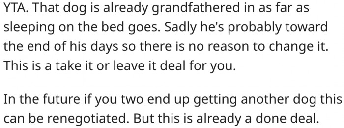 4. It's too late to change the dog's sleeping habits.