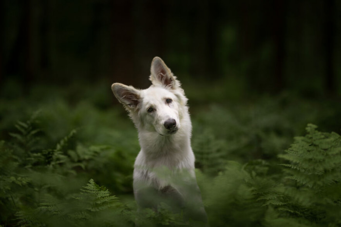 12. I guess we can call this a