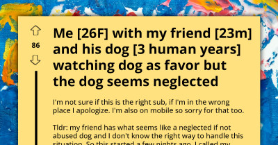 Redditors Give Awesome Care Tips To Lady Who Offered To Care For Her Homeless Friend's Neglected Dog