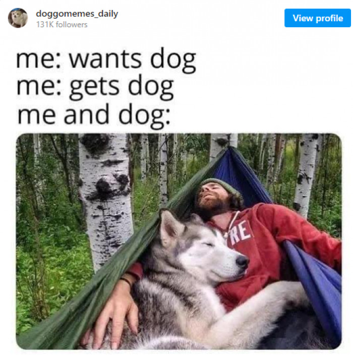 18. The best nap buddies are your closest friends!