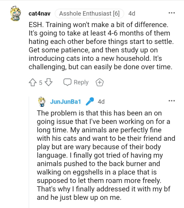 Study up on introducing cats to a new household