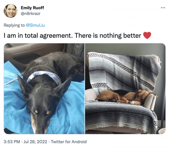 1. Both look so cute when they are just dozing off.