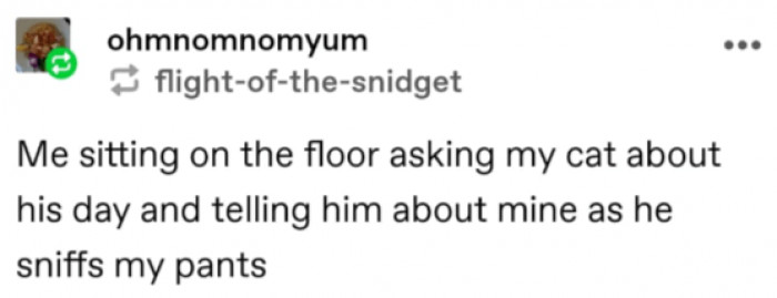 11. How me and my cat interact about our day