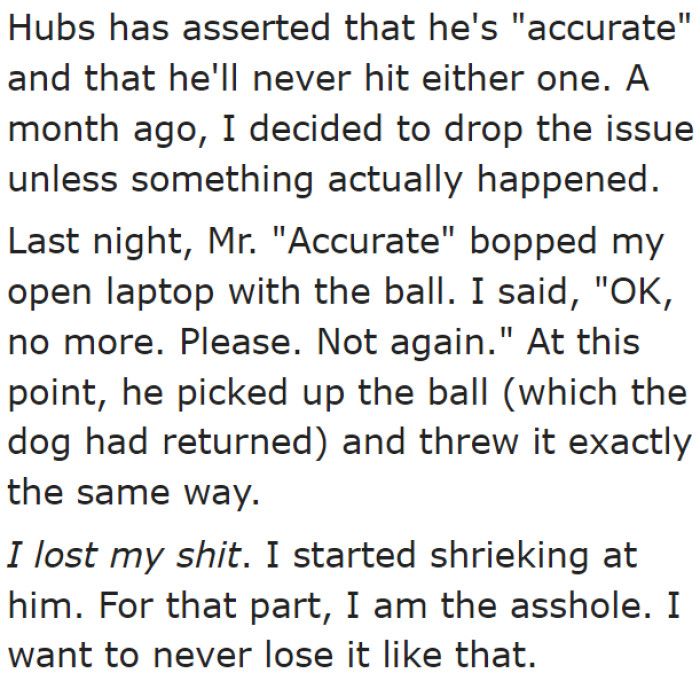 The OP lost it when her husband continued throwing the ball in the same direction after hitting her laptop.