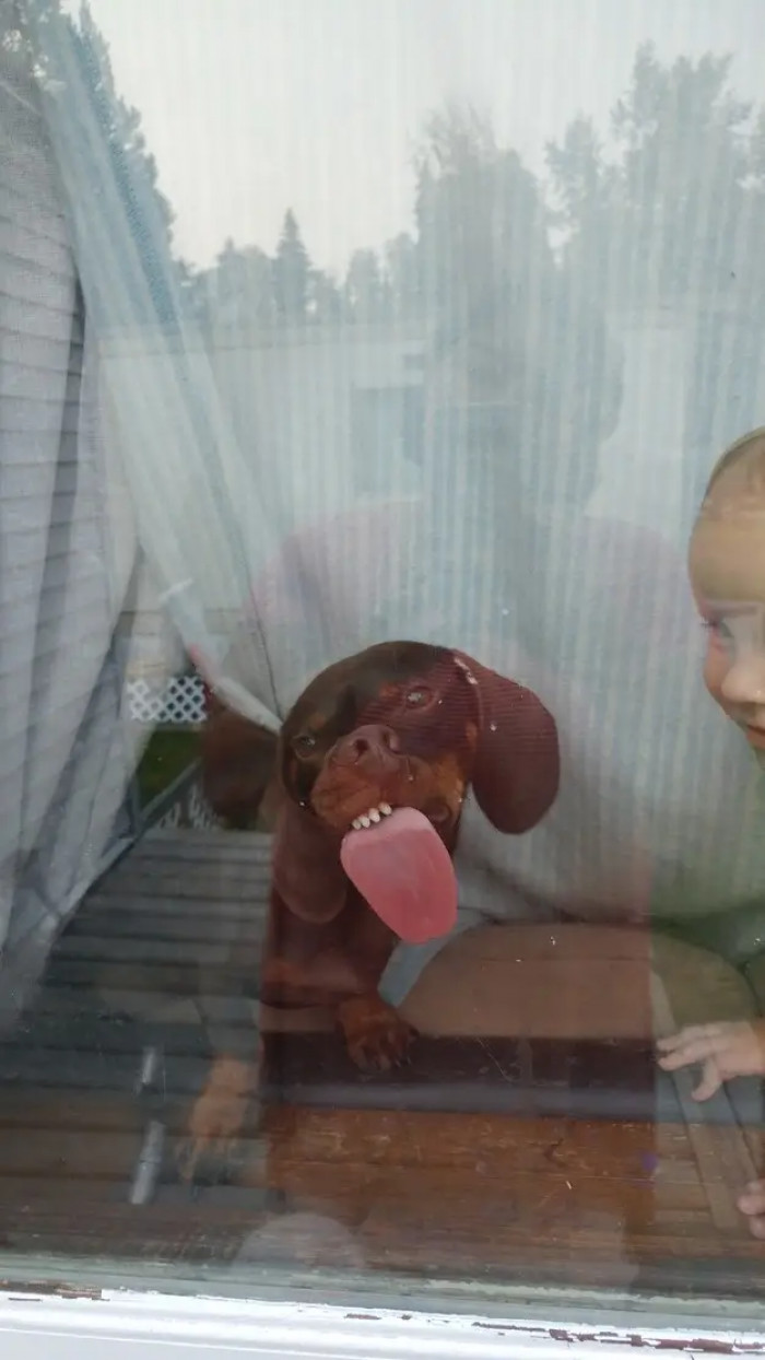 2. Feel free to lick your screen