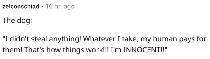 Whatever I take, my human pays for them