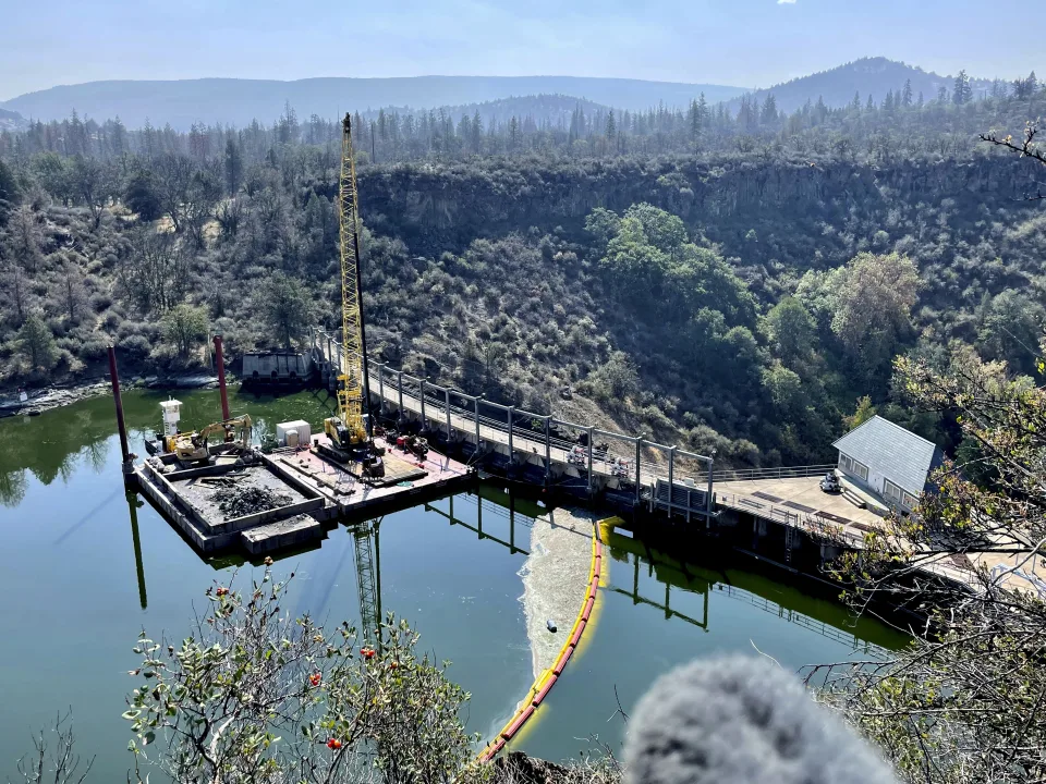 A River Reborn: Beyond Salmon