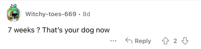 "That's your dog now."