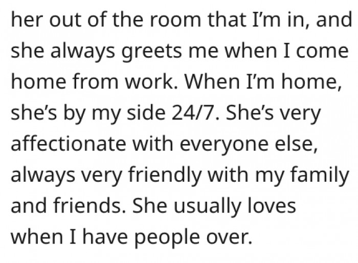 The cat loves company