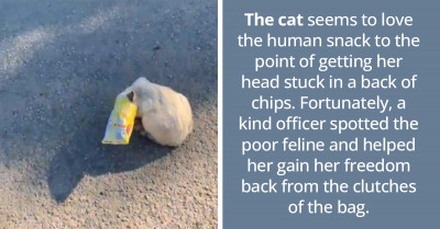 A Police Officer Came To The Rescue Of A Cat Whose Head Is Stuck In A Bag Of Chips
