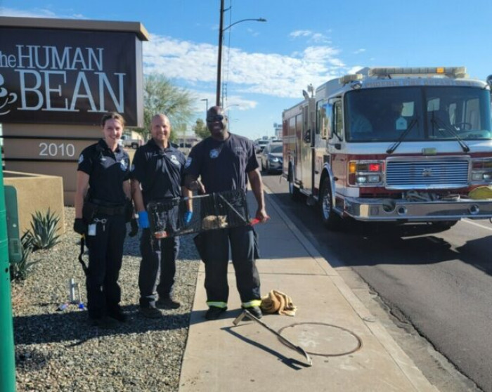 The kitten was sent to AHS' Second Chance Animal Trauma Hospital