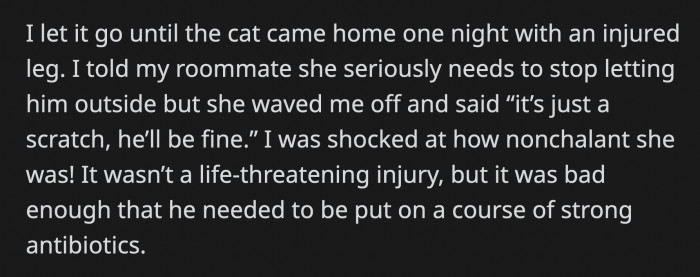 OP pointed it out, but her roommate waved it off and said it was just a scratch, despite the cat needing antibiotics to treat the wound.