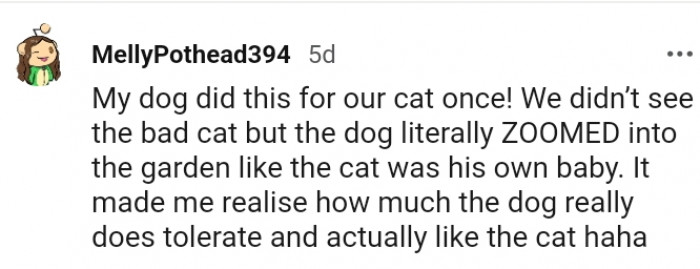 6. Here's a similar story