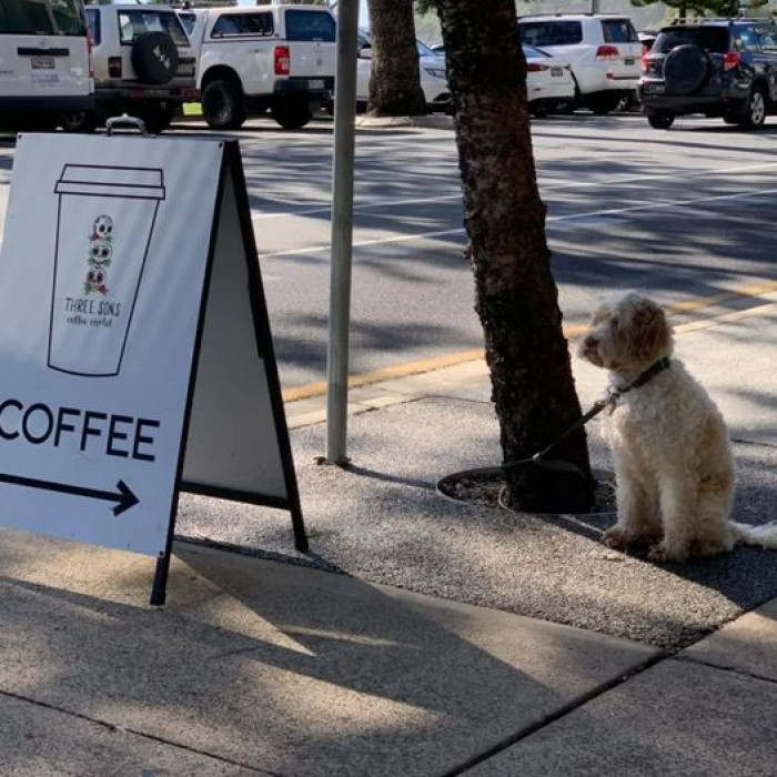 Hope the coffee is hot