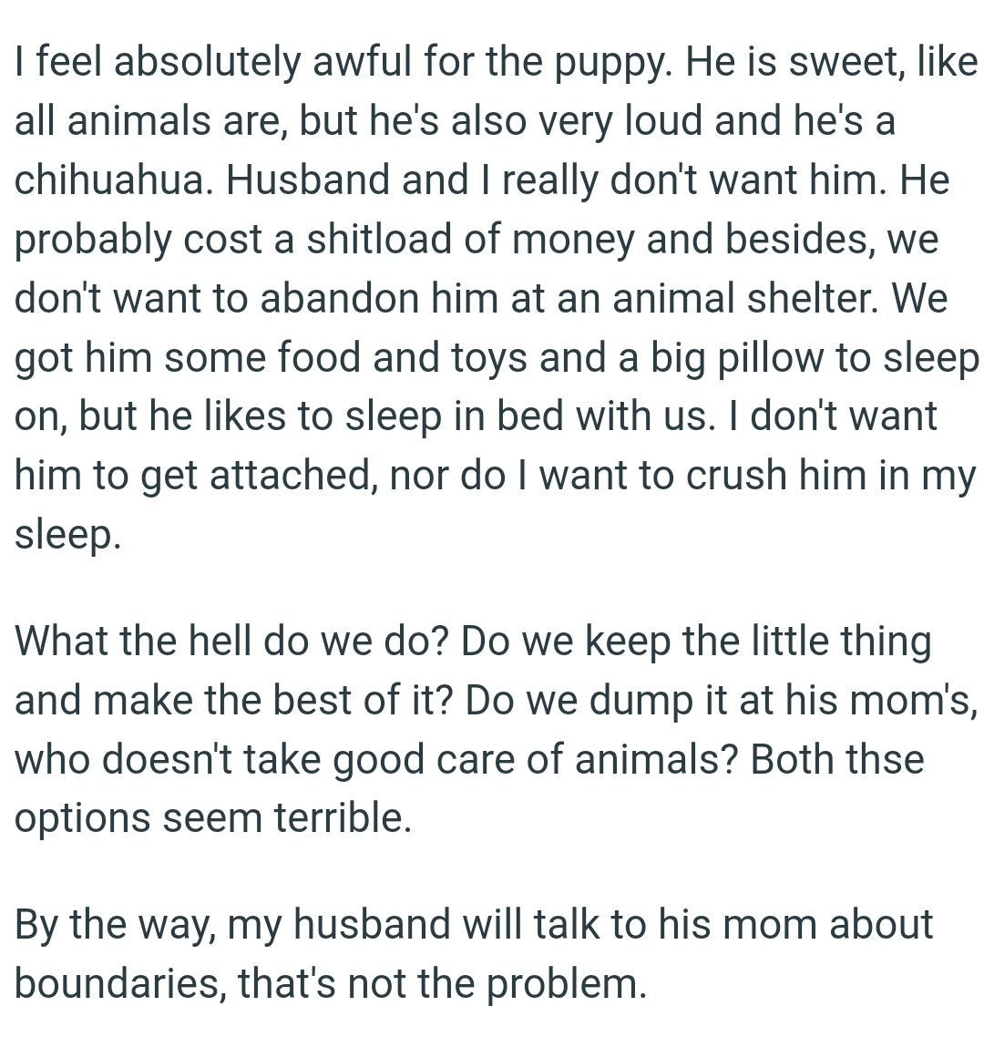 They got him some food, toys, and a big pillow to sleep on