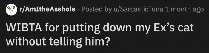 OP didn't mind keeping her ex's old cat since she has been paying for everything the cat needed for about two years.