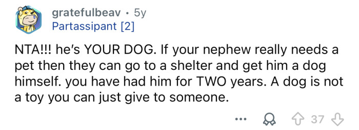 They should adopt a dog from a shelter.