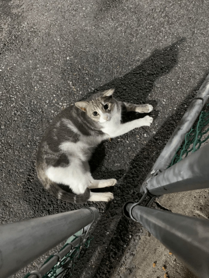 "Found Lenox because..."