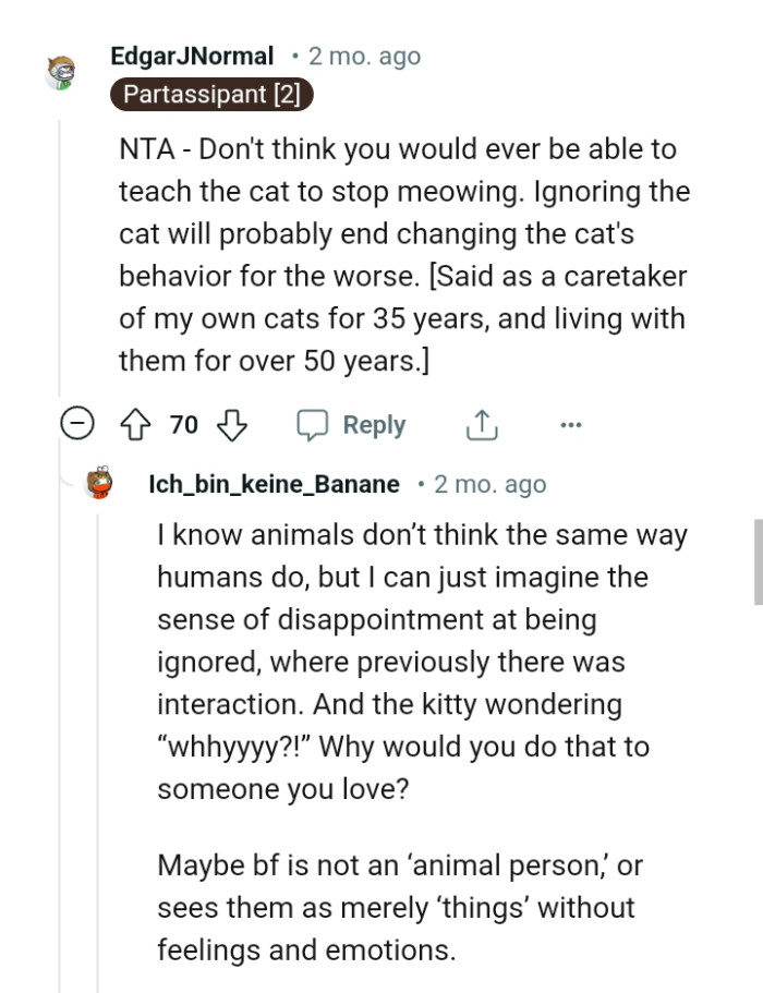 Ignoring the Cat Might Change the Cat's Behavior