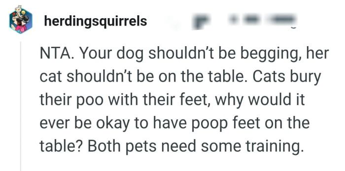 Cats bury their poo with their feet?
