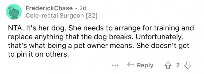 The sister should be held responsible for any damages.