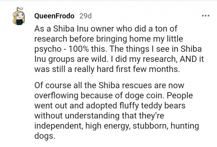 The things this Redditor sees in dog groups are wild