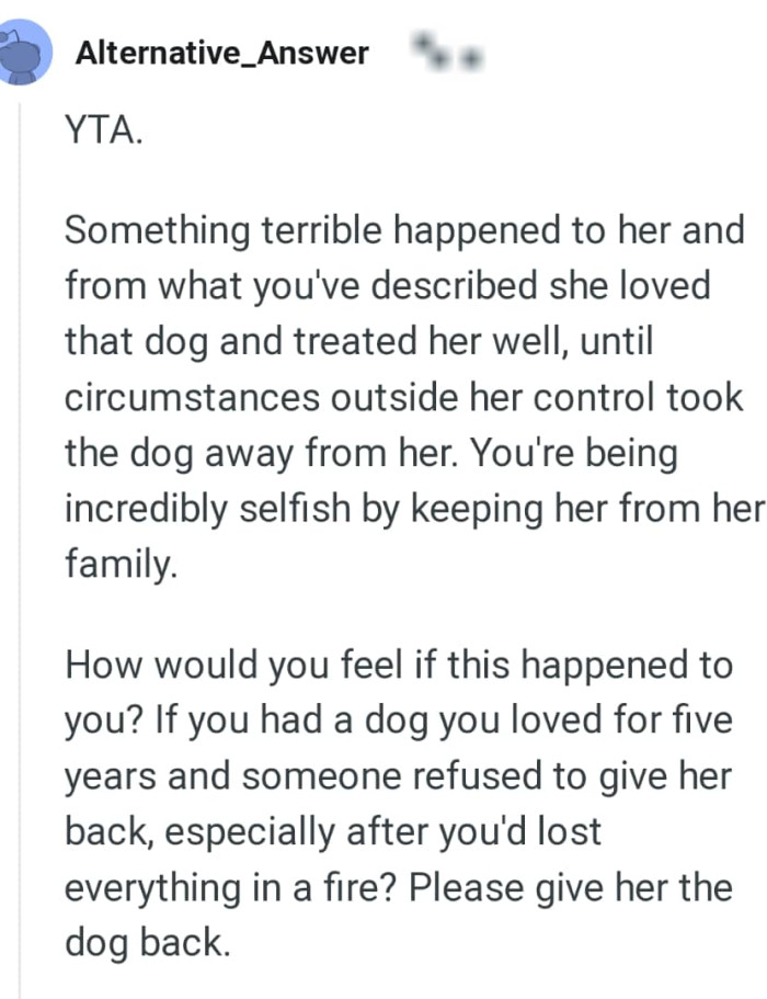 The original owner loved and treated the dog well
