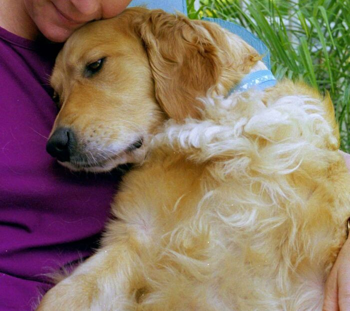 35. "Rescue #4 Katie: the sweetest, most mellow girl. A family who was moving didn’t want her anymore, and we got the call."