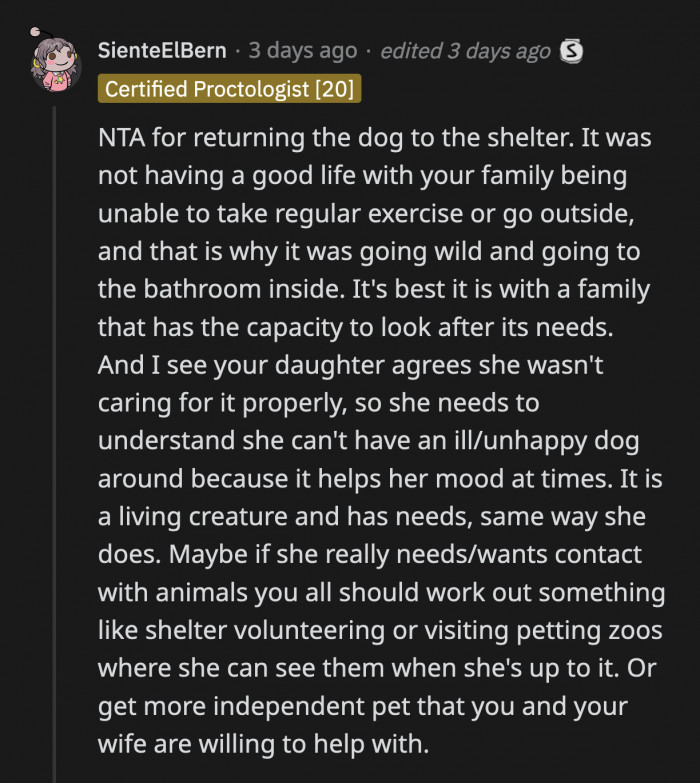 Returning the Dog Was Definitely the Right Move. He Wasn't Getting the Time and Attention He Deserved, Hence the Destruction of Items. If OP's Daughter Craves Interaction with Animals, She Can Try Volunteering at the Shelter.