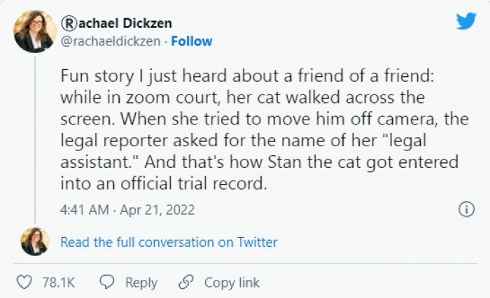 5. Stan the cat is a legal assistant now