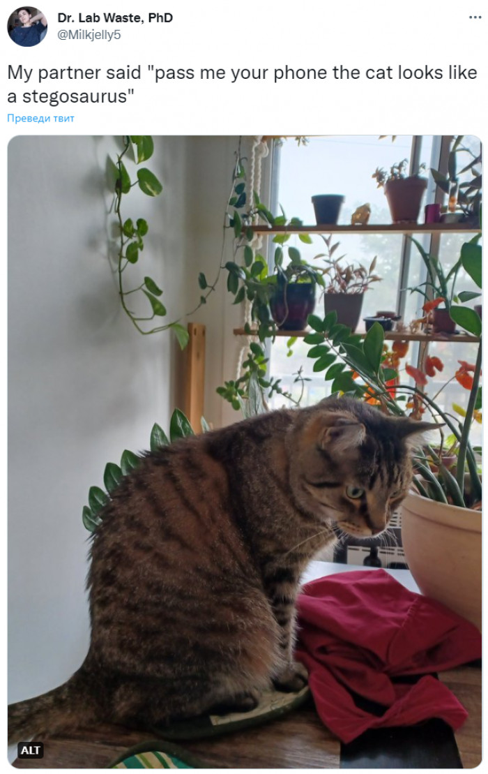 2. And the cutest one