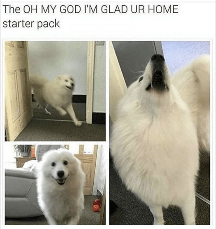 10. You will love this starter pack