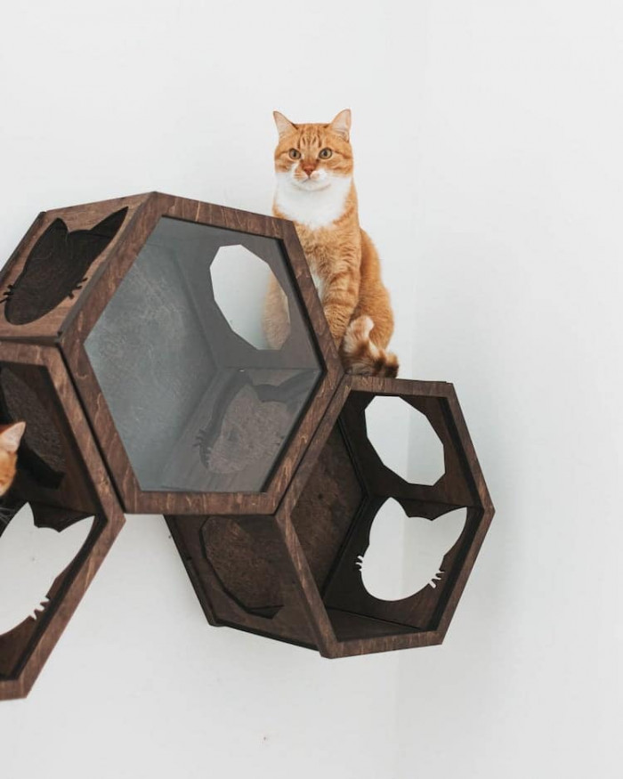 The elements come with different designs and color schemes,