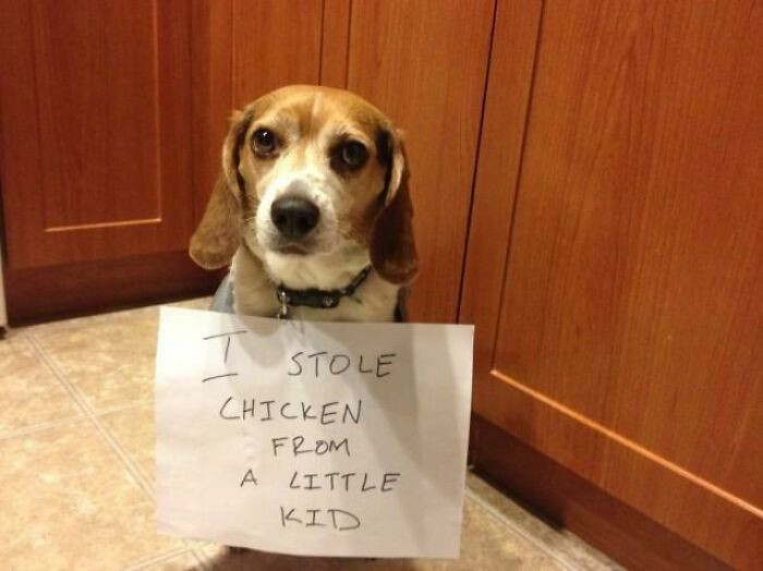 "For Shame"