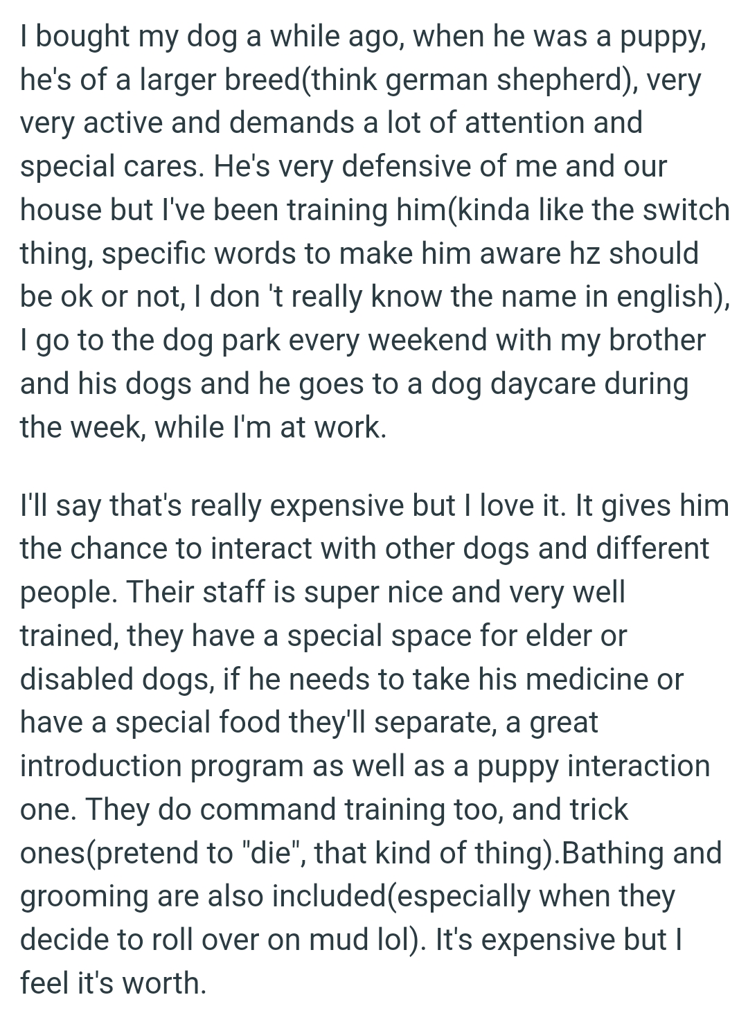 The dog is very defensive of the OP and their house, but he's being trained.