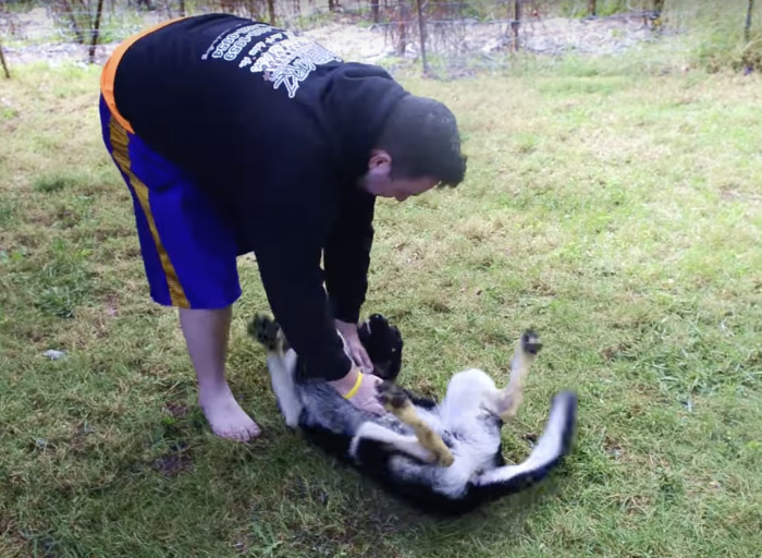 He still enjoys belly rubs...