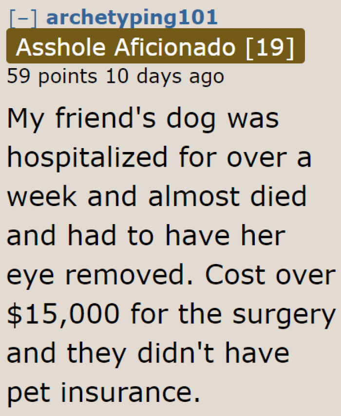 If you don't have pet insurance, it could even cost you more.