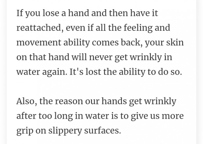 19. Why our hands gets wrinkly some of the time