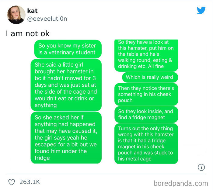 #4 How about putting him in a wooden cage instead? For future cases like this.